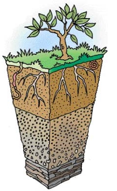 Découverte de la pédologie 