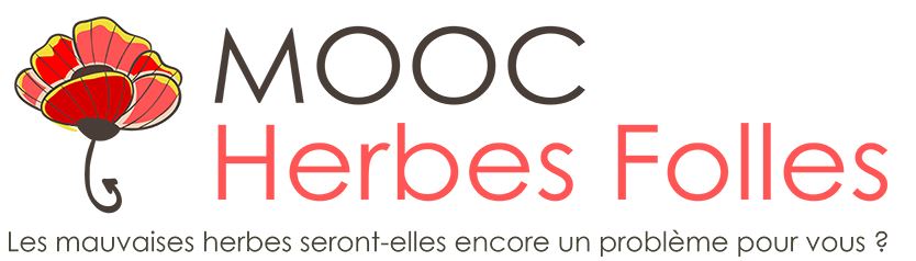 Découvrir Les Herbes Folles