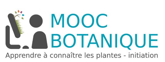 Initiation à la botanique